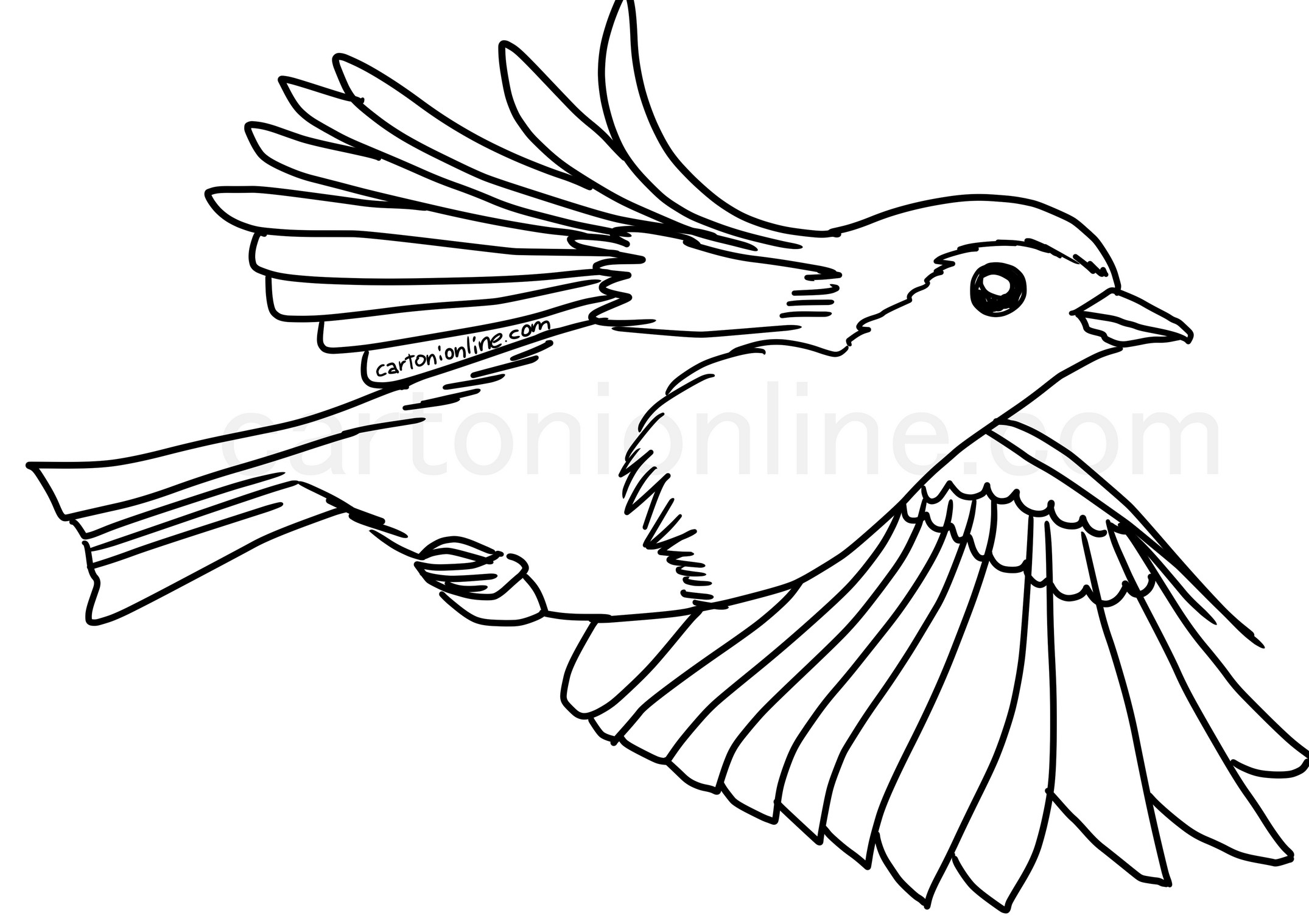 Flying robin målarbok