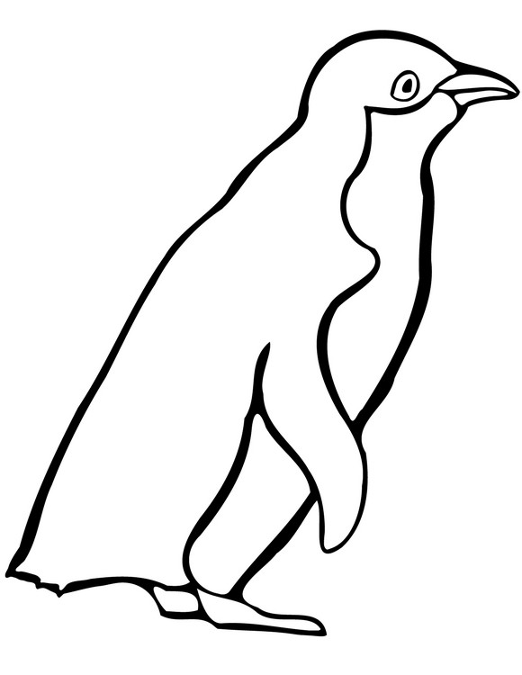 Realistic Penguin coloring page