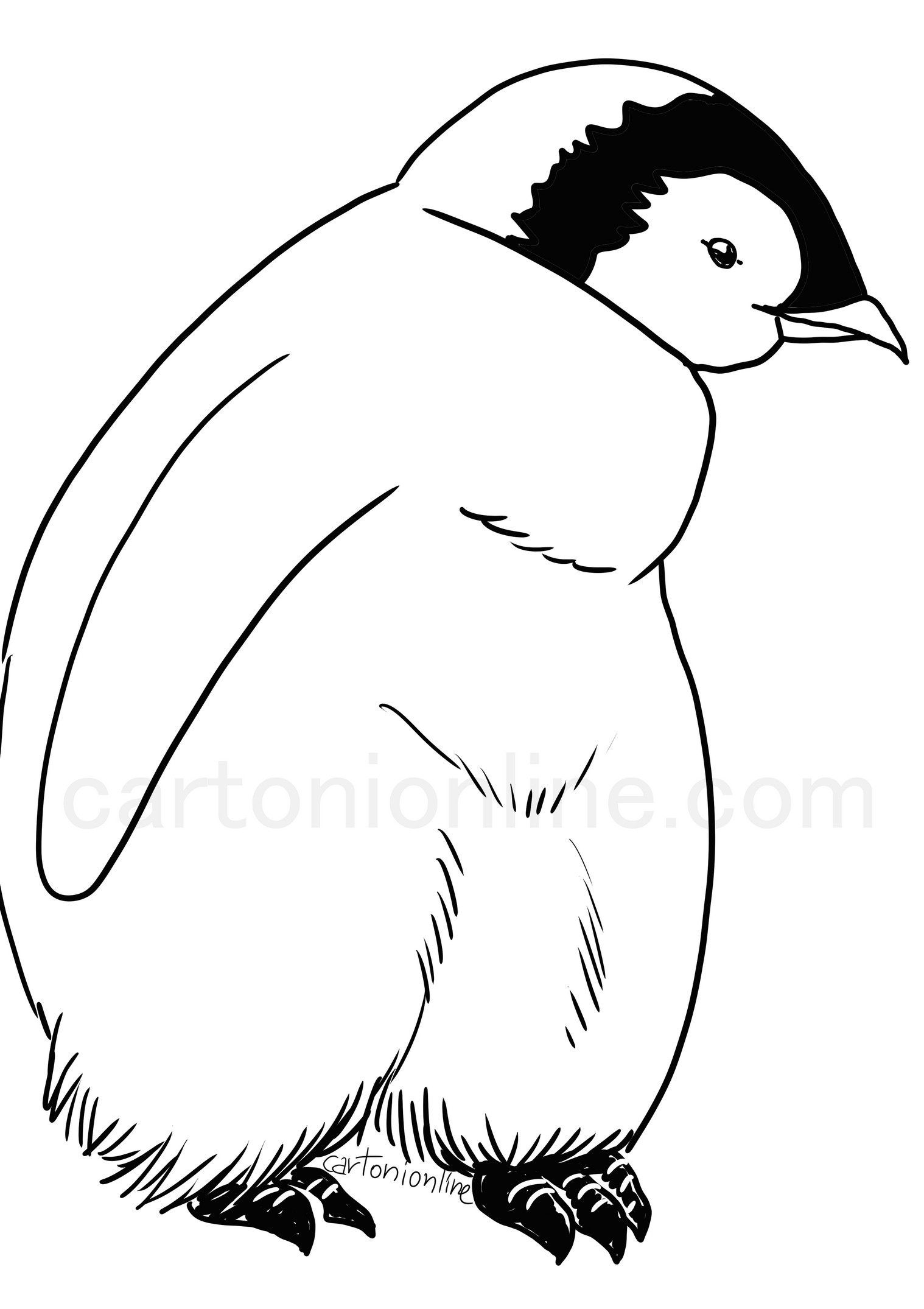 Trang màu gà con chim cánh cụt