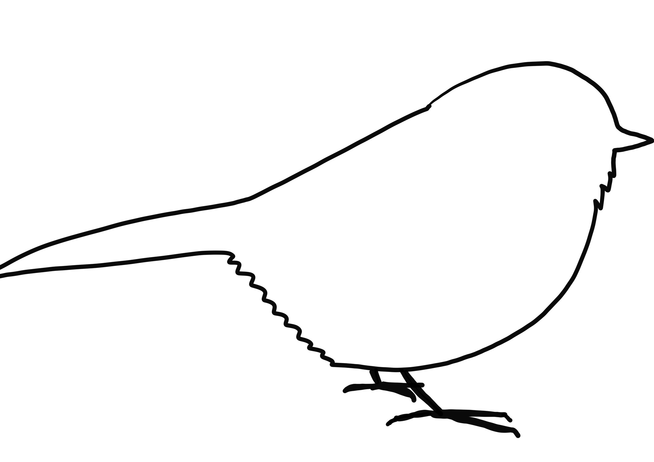 Poecile atricapillus silhouette coloring page