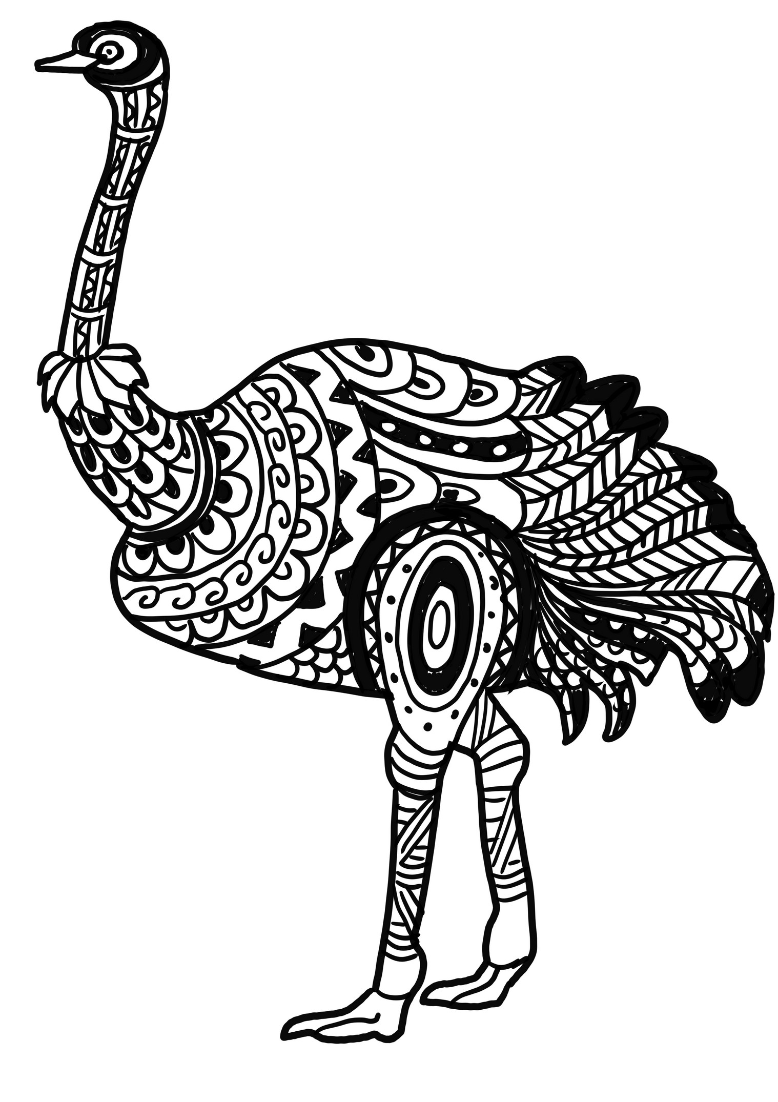 Dibujo de avestruz realista para colorear