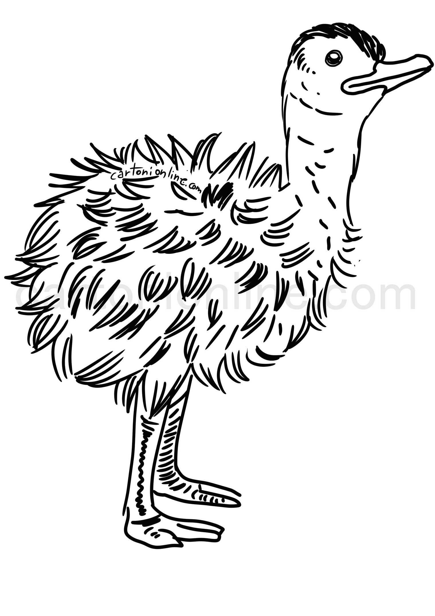 Dibujo de pollito de avestruz para colorear
