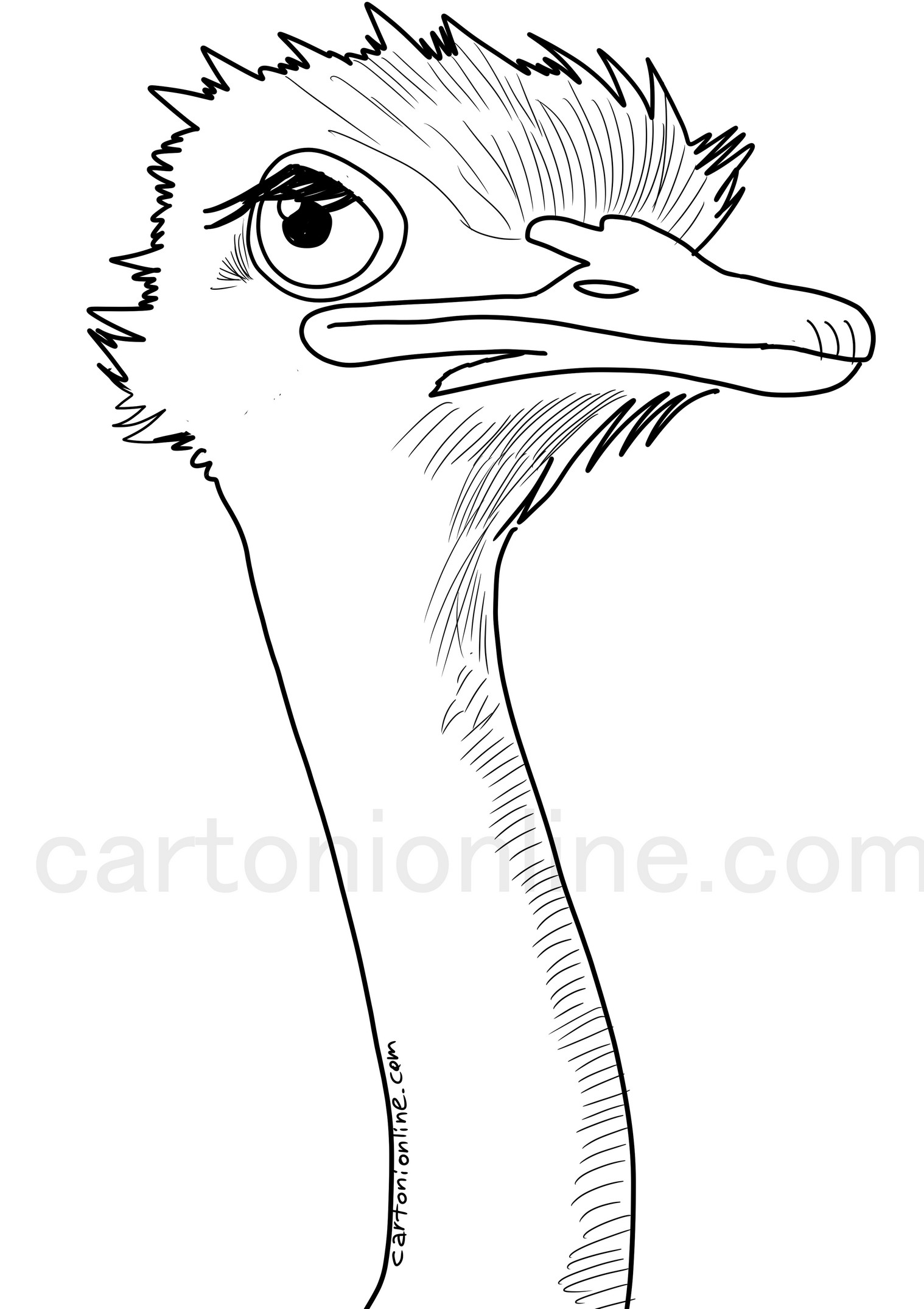 Realistische struisvogel kleurplaat