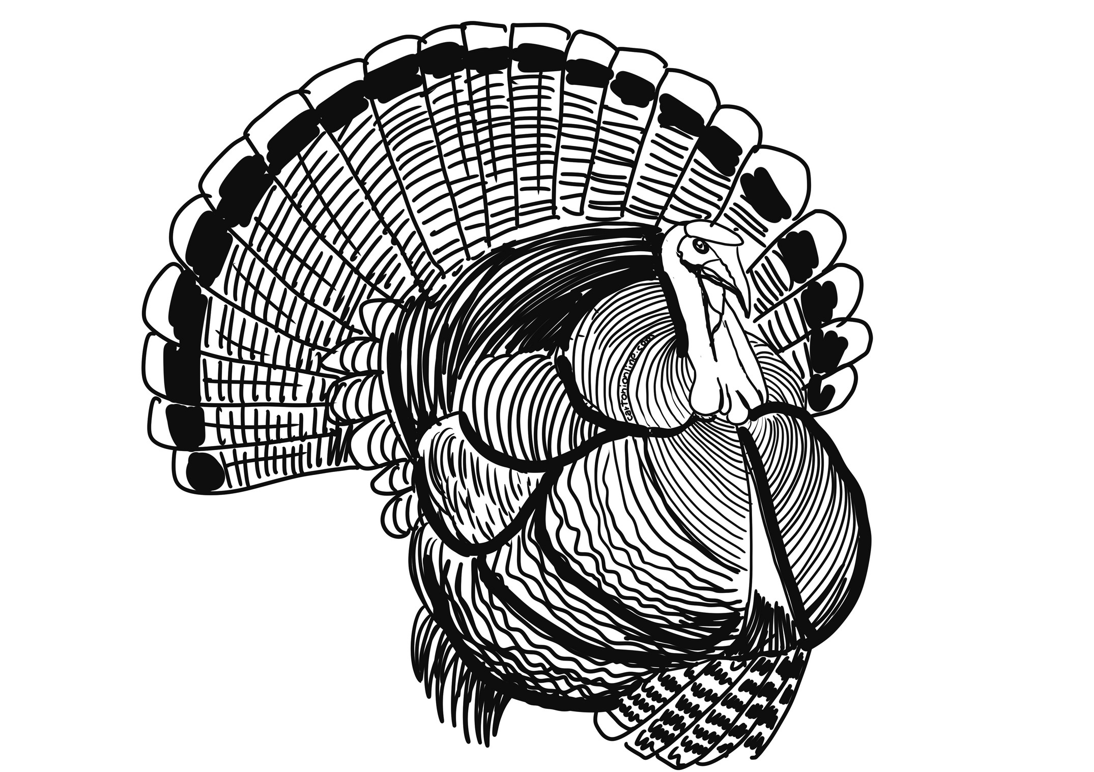 Realistic Turkey coloring page