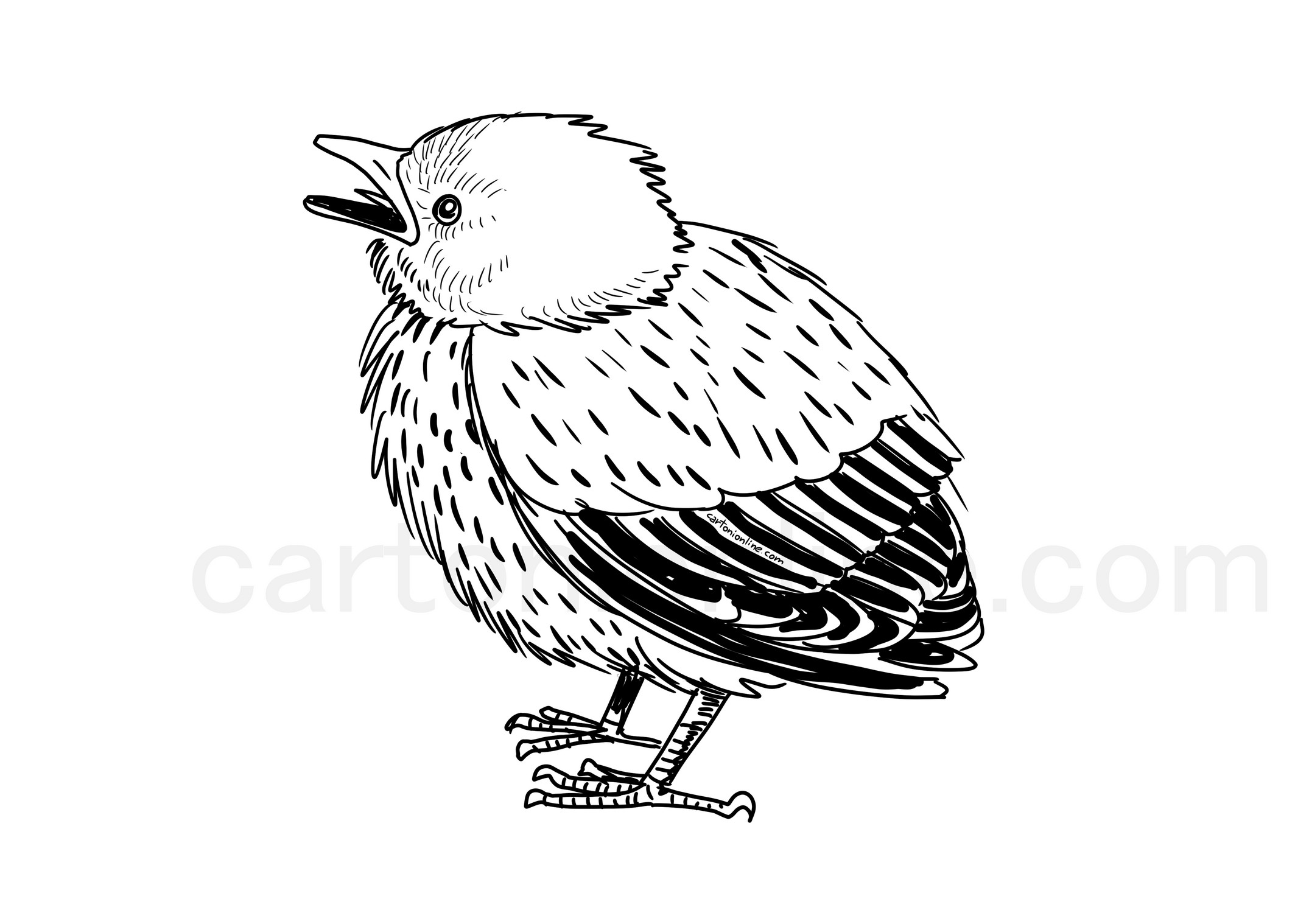 Realistic Thrush Bird coloring page