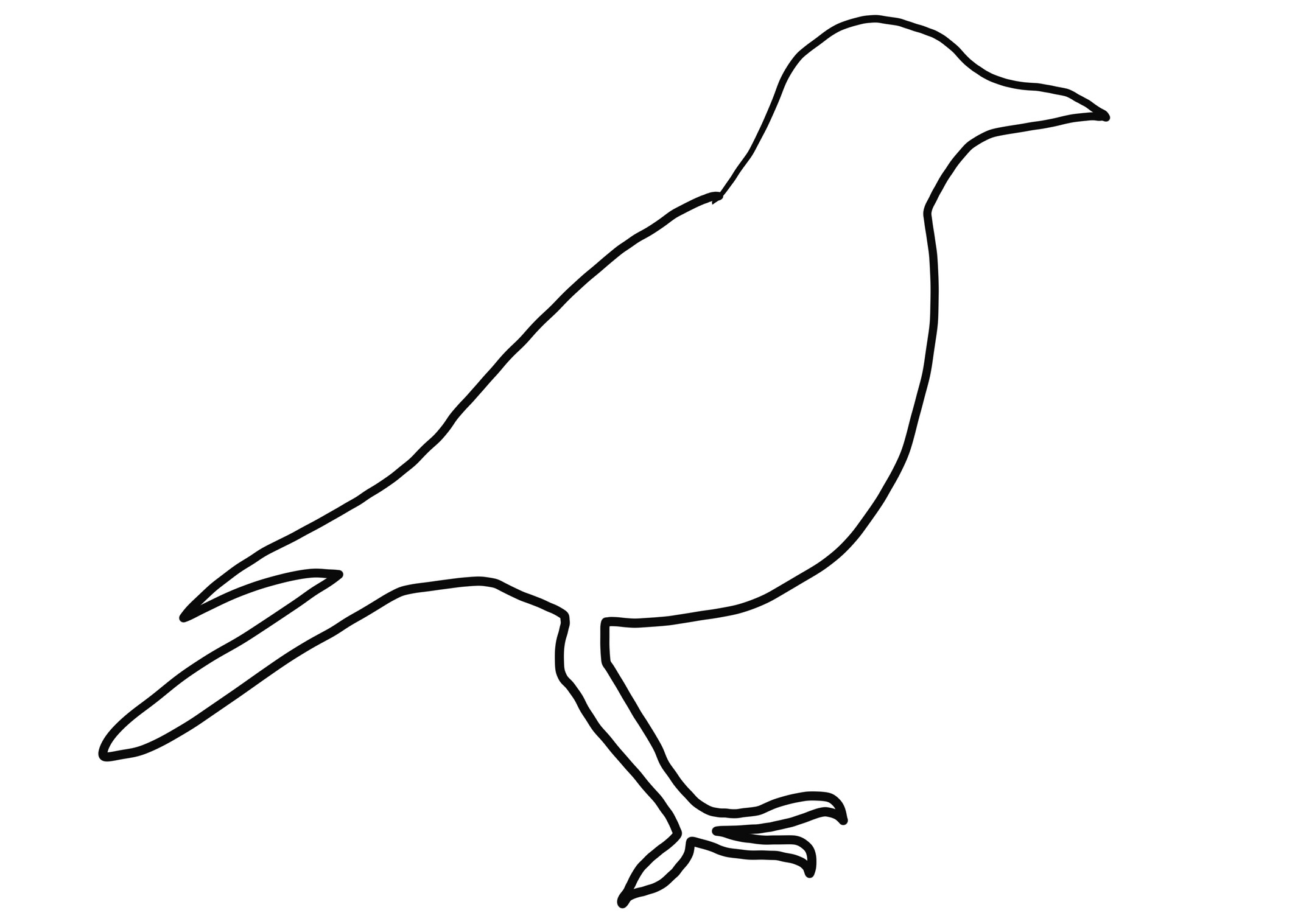 Thrush bird silhouette coloring page