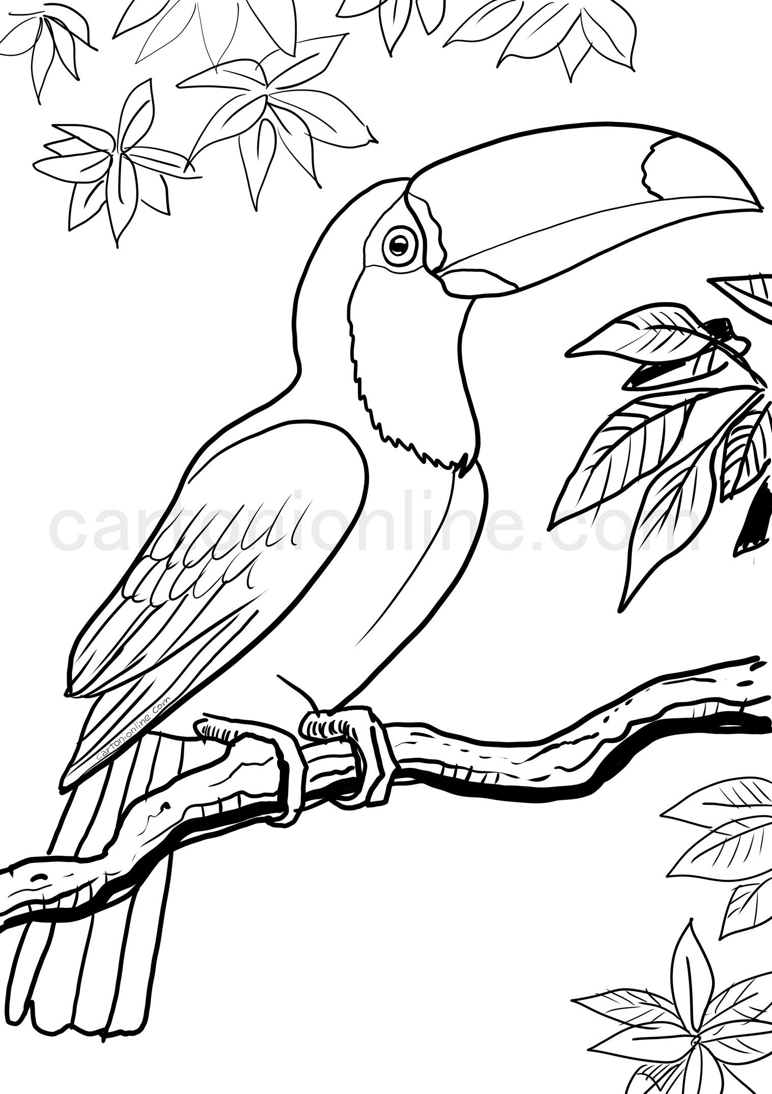 Realistisk Toucan målarbok