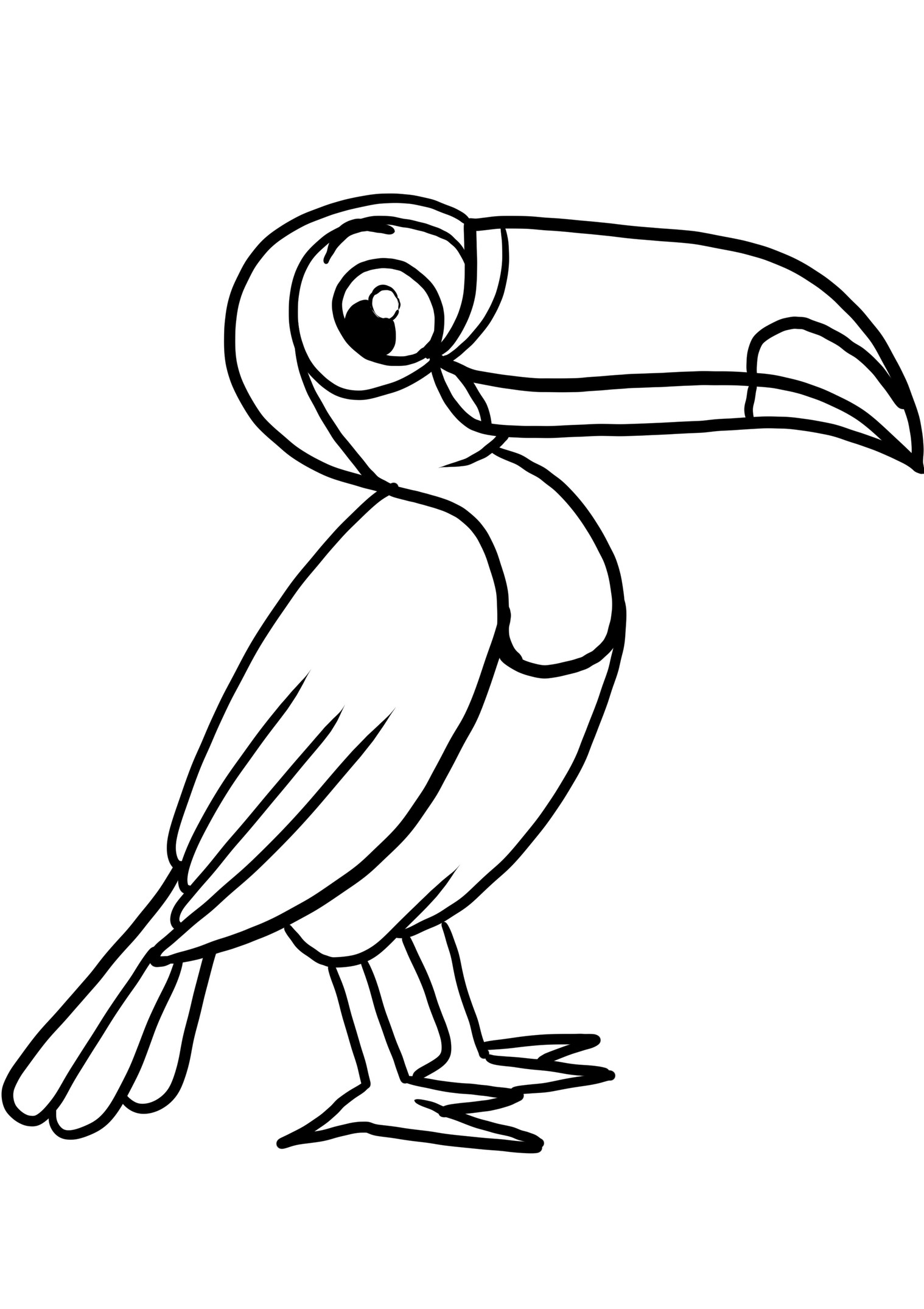 Realistisk Toucan målarbok