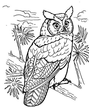 Coloriage 3 de oiseaux  imprimer et colorier