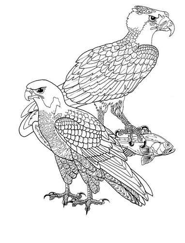 Desen 6 de păsări pentru a imprima și a colora