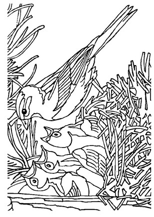 Desen 9 de păsări pentru a imprima și a colora