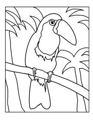 Coloriage 18 de oiseaux  imprimer et colorier