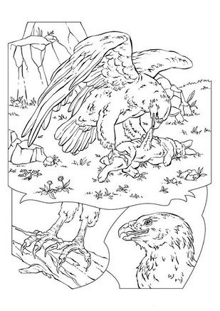 Drawing 20 from birds coloring page to print and coloring