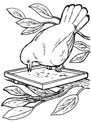 Drawing 24 from birds coloring page to print and coloring