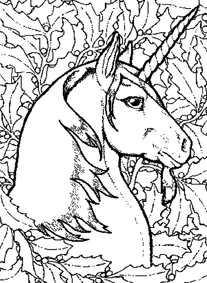 Unicornios de dibujo 14 para imprimir y colorear