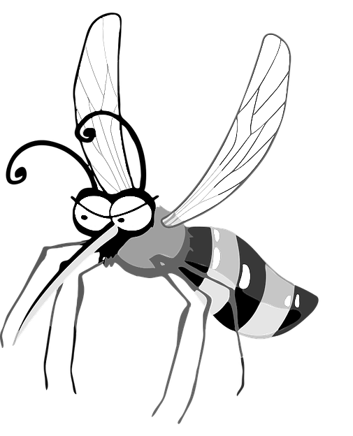 Dibujo de Mosquito para colorear