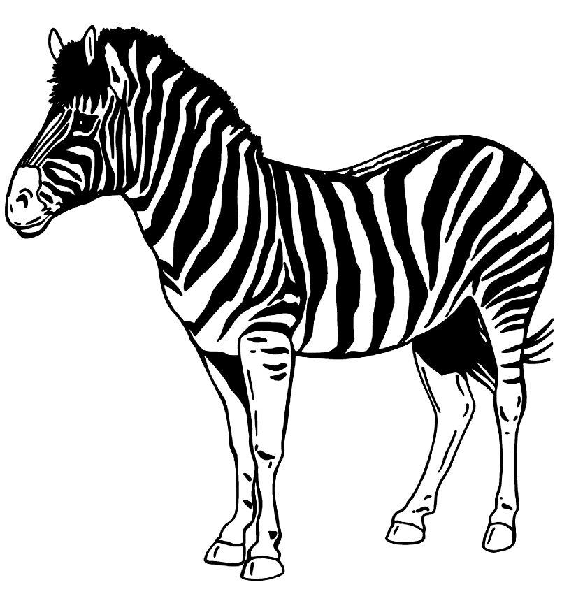 Zebra tekening om af te drukken en te kleuren