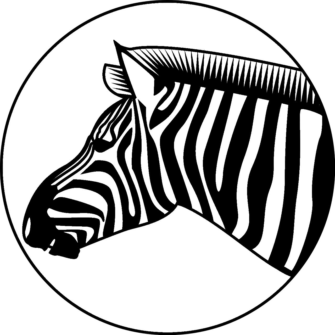 Målarbok av en zebra