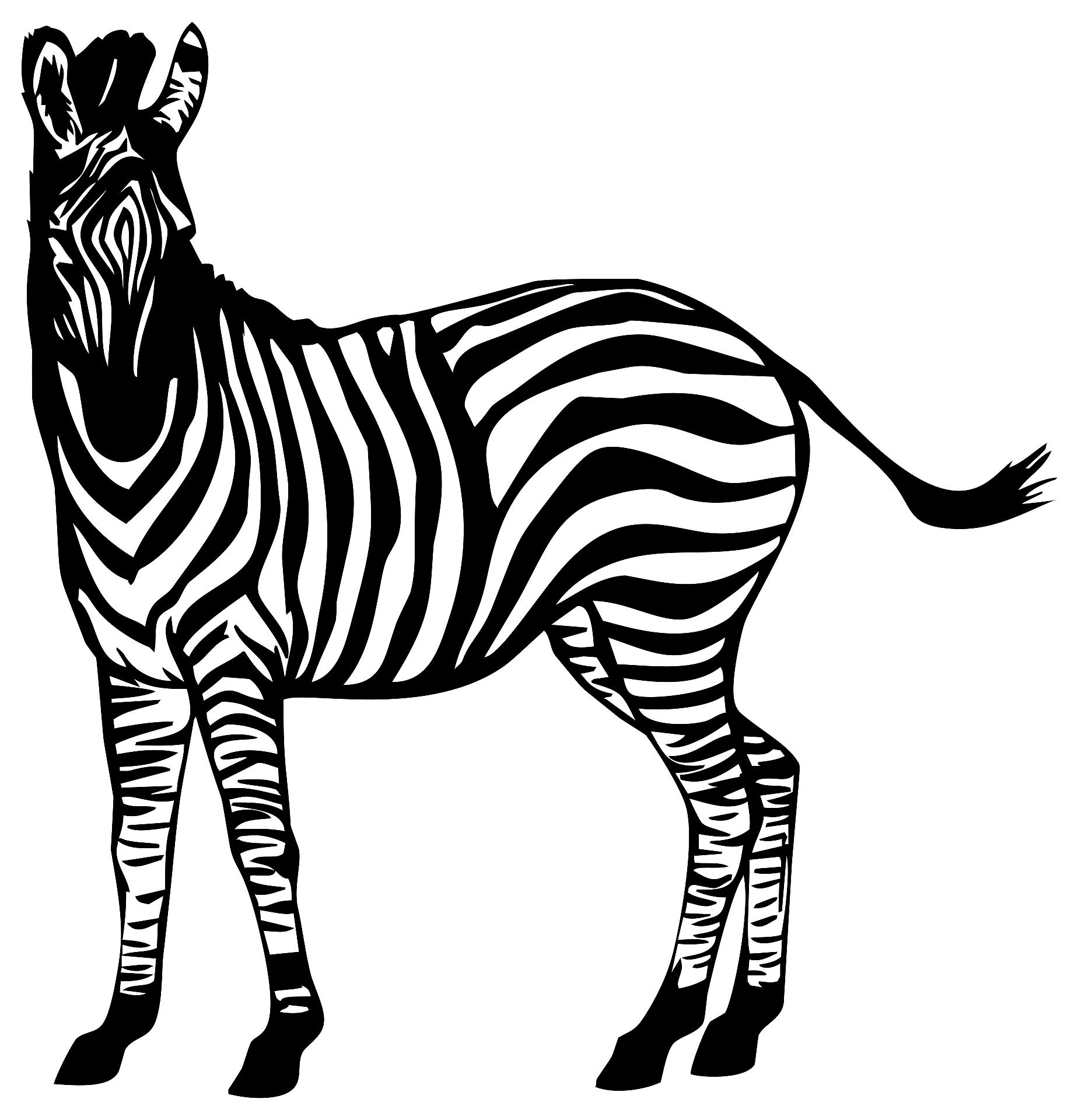 Disegno da colorare di una zebra