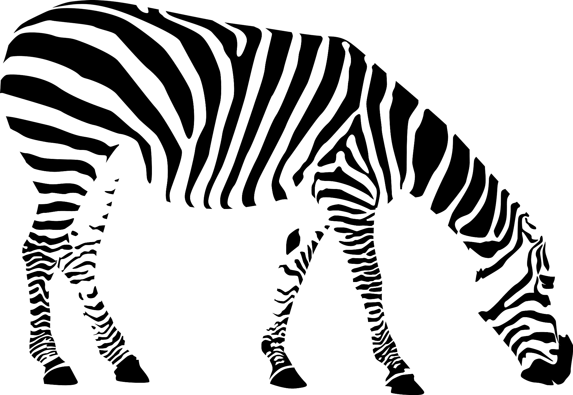 Farvelægningsside af en zebra