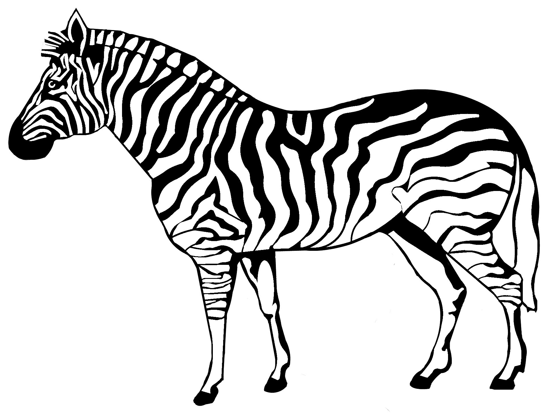Disegno da colorare di una zebra
