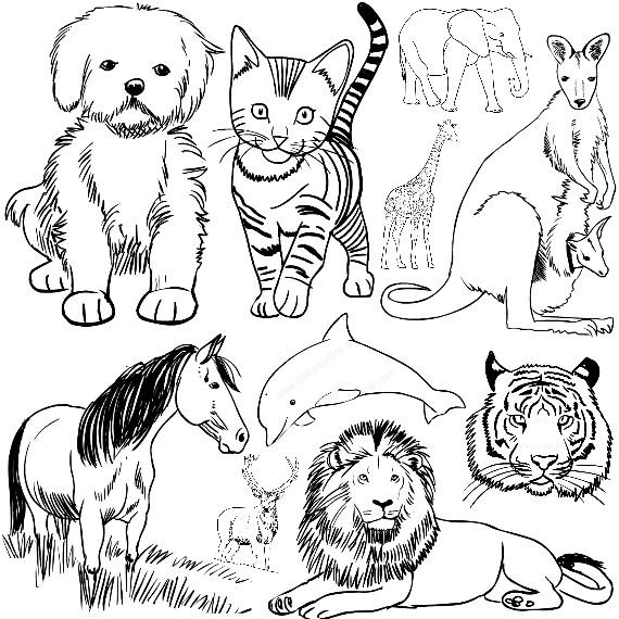 Målarbok av djur