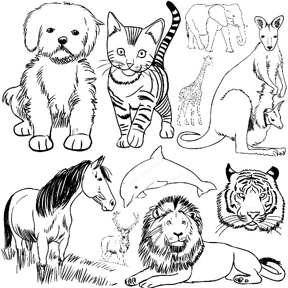 Coloriages d'animaux