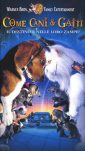 dvd Come cani e gatti