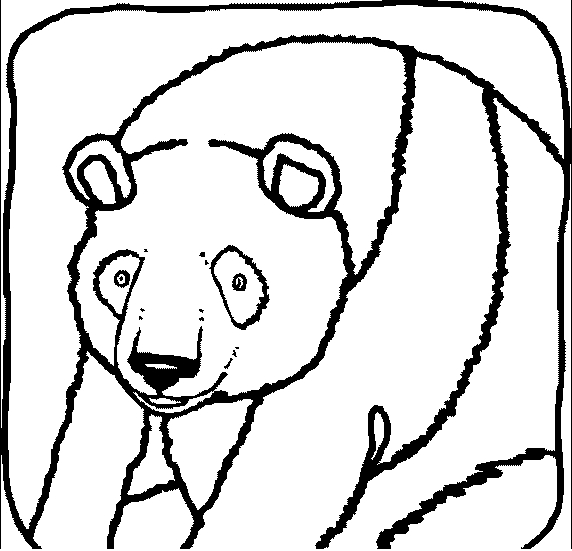 Disegno 8 bear coloring page