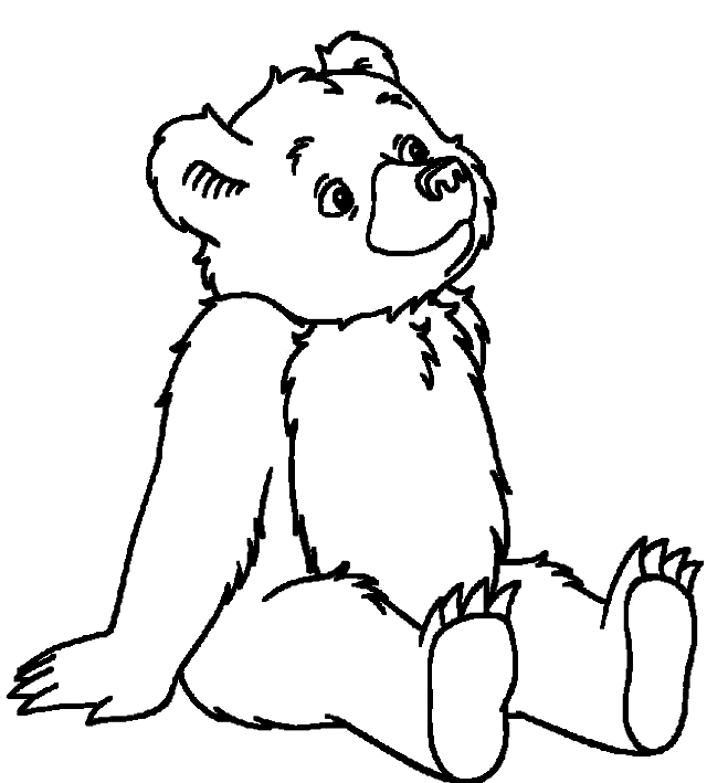 Disegno 11 bear coloring page