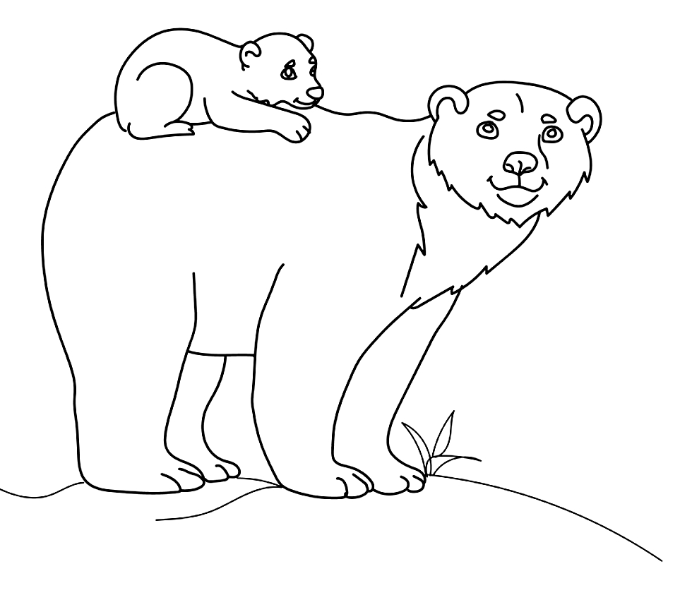 Drawing of bears to print and coloring