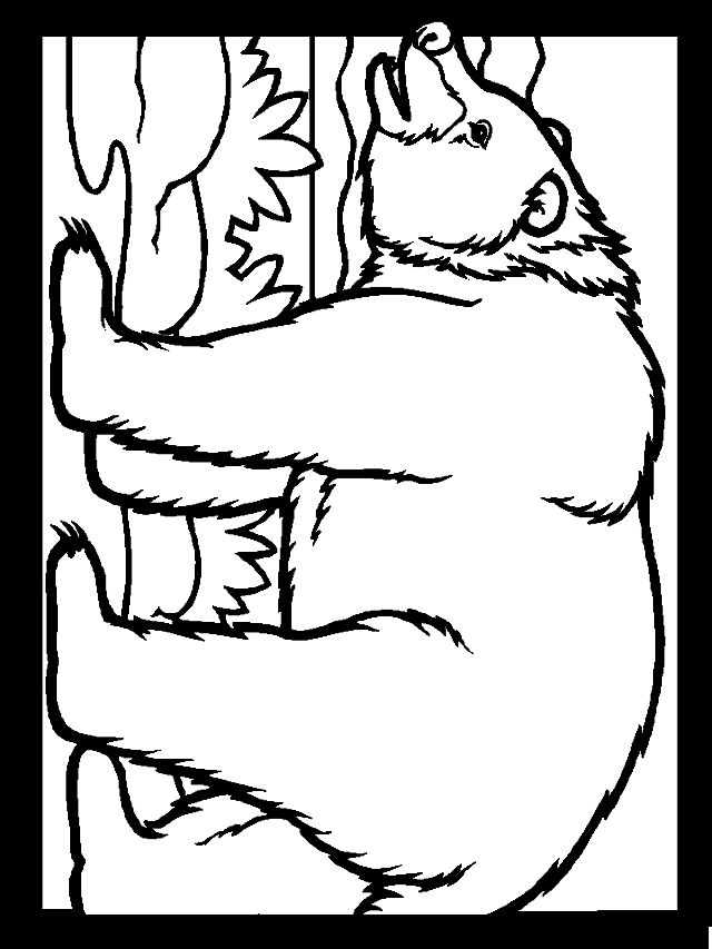Disegno 22 bear coloring page