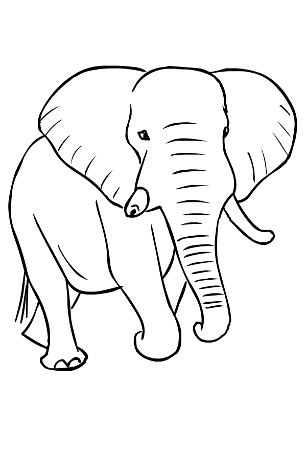 Drawing of elephants to print and coloring
