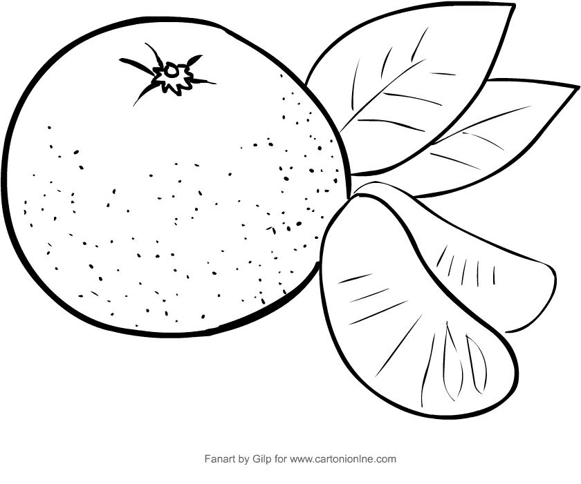 Drawing tangerines coloring pages printable
