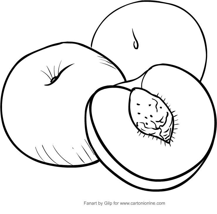 Drawing peaches coloring pages printable