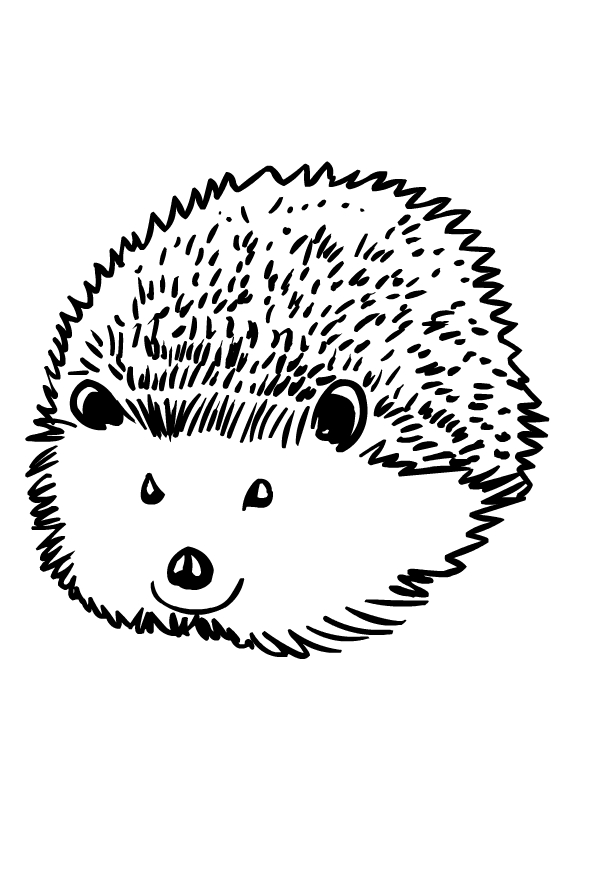 Drawing of hedgehogs to print and coloring