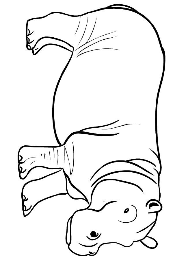 Drawing of hippopotamuses to print and coloring