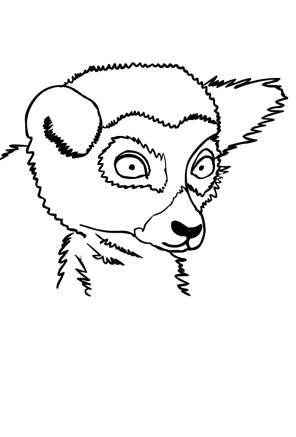Drawing of lemurs to print and coloring