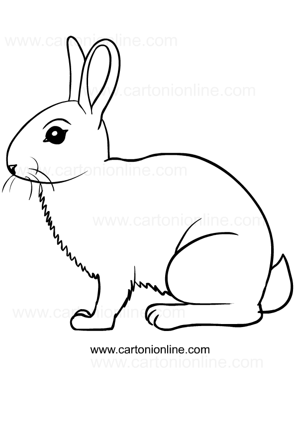 Drawing of rabbits to print and coloring