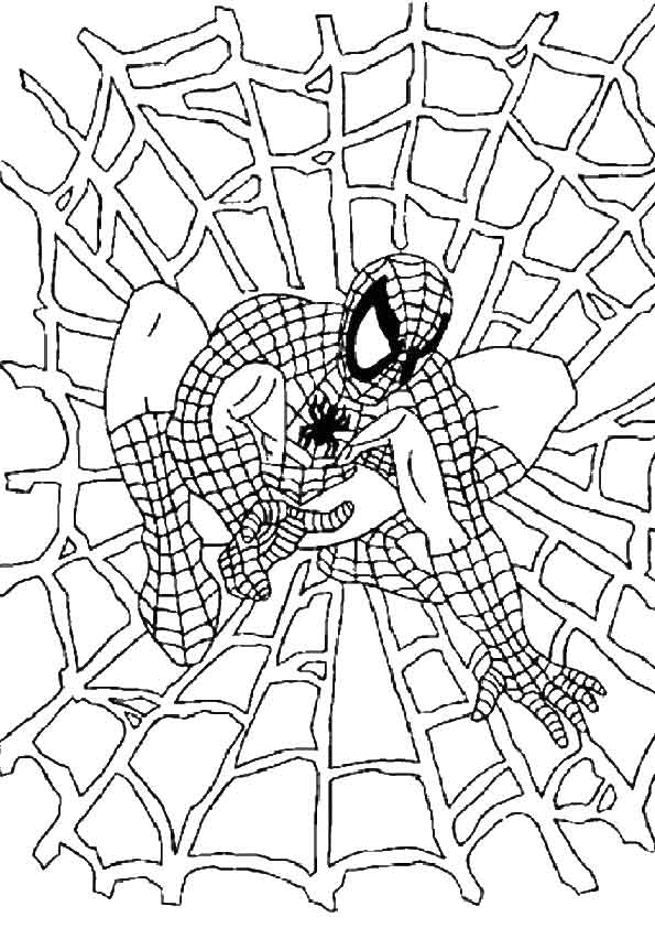 Drawing Spiderman on the spider web coloring pages printable for kids 