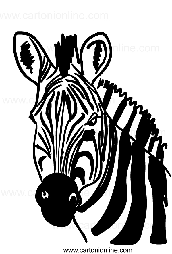 Drawing of zebras to print and coloring
