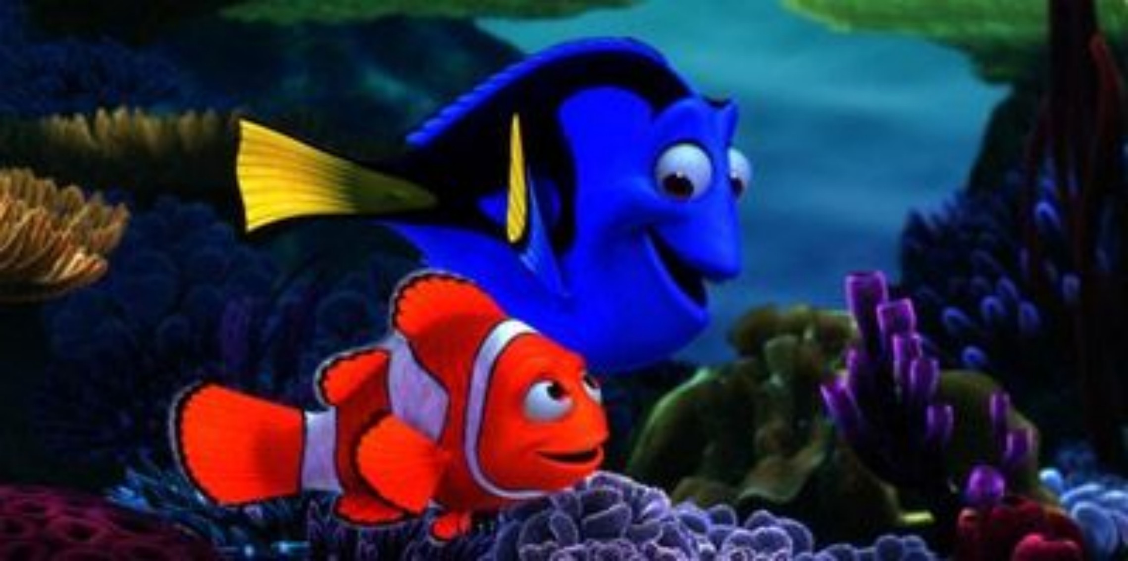 Immagini Alla ricerca di Nemo - Merli e Dory