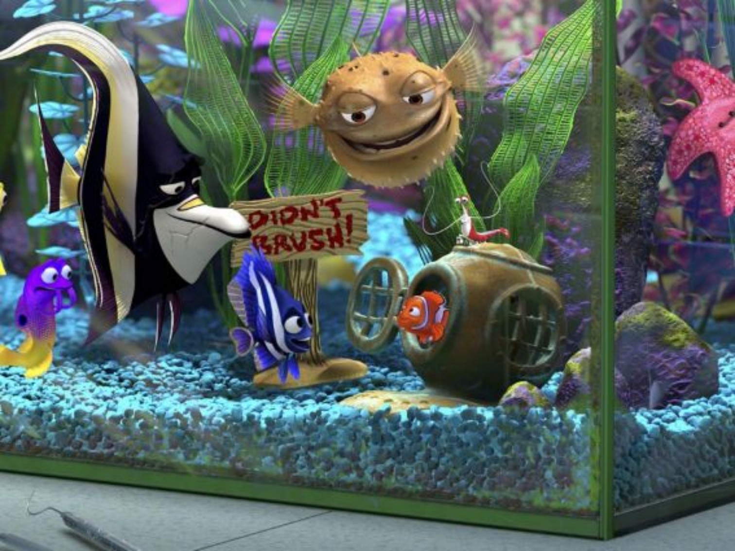 寻找Nemo的图像-水族馆