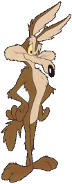 Wile coyote