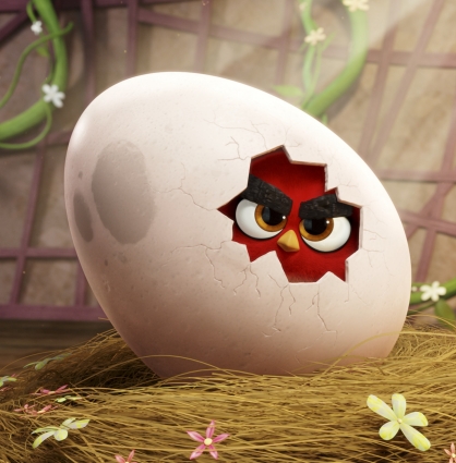 Z muszli wydobywa się czerwony - Angry Birds