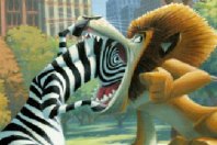 Marty the zebra sticks her head into Alex the Lion's mouth