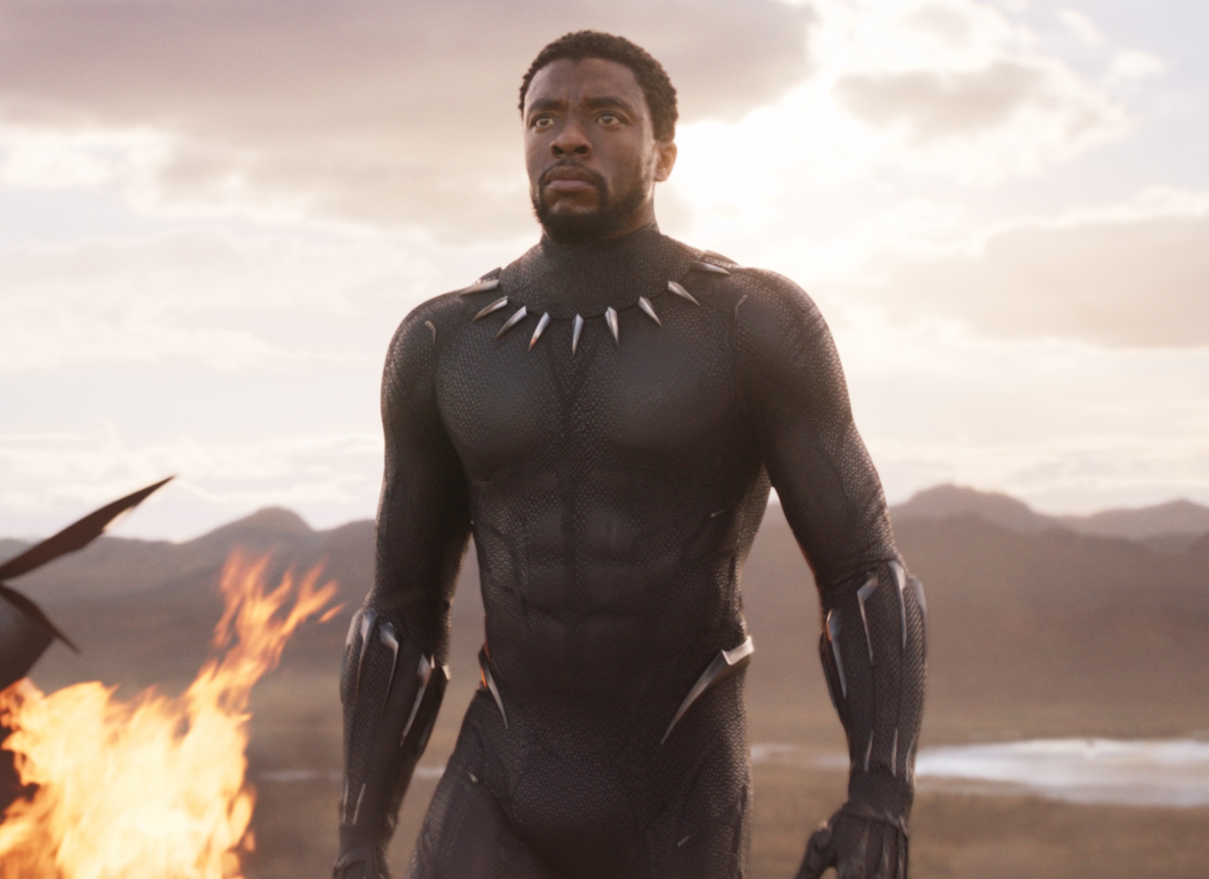 Black Panther the film
