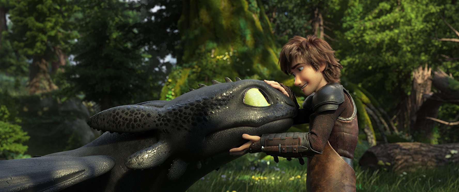 Hiccup Horrendous and the Toothless dragon