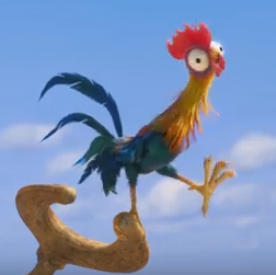 The HeiHei cock of the movie Oceania