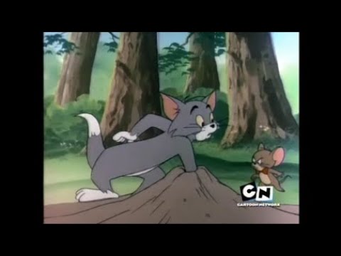 Tom and Jerry Show – It's No Picnic (1975)